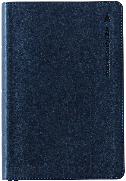 bible cover
